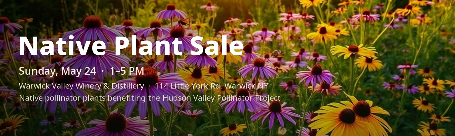 Native Plant Sale — Sunday, May 24, 1–5 PM at Warwick Valley Winery & Distillery. Native pollinator plants benefiting the Hudson Valley Pollinator Project.